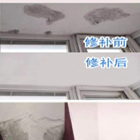 牆體醫治專家